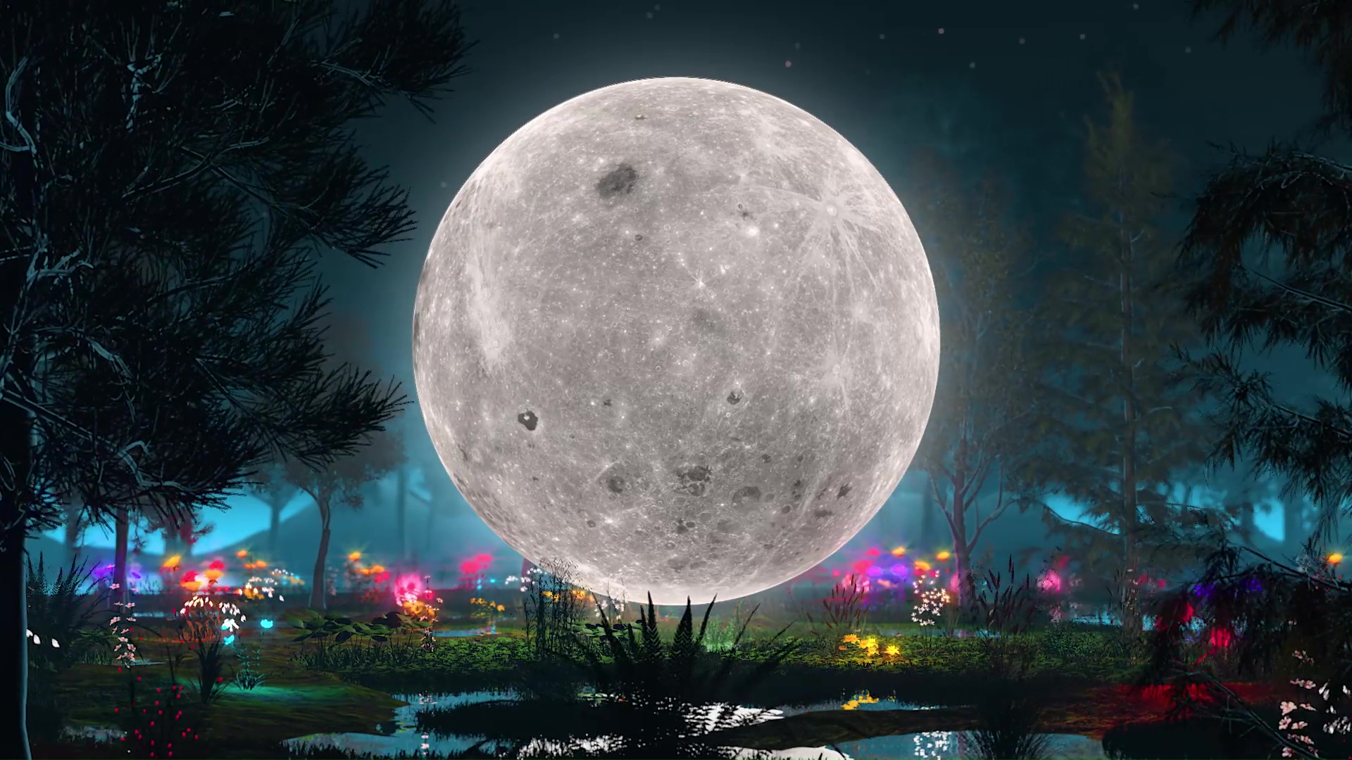 To The Moon by VISUALDON (loop) Live Wallpaper - Live Wallpaper